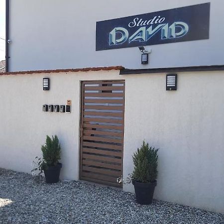*Studio David* Sibiu Bagian luar foto