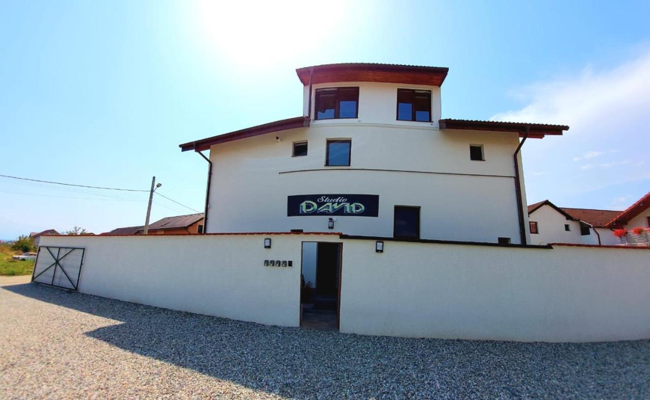 *Studio David* Sibiu Bagian luar foto