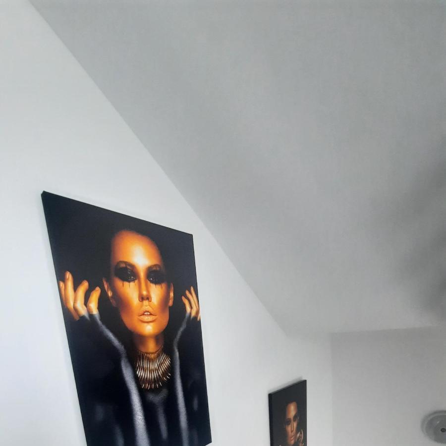 *Studio David* Sibiu Bagian luar foto