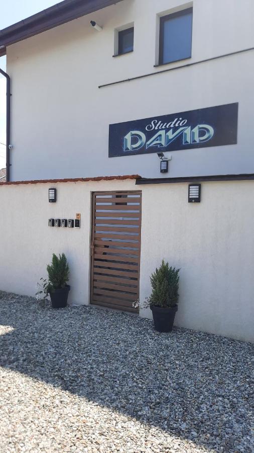 *Studio David* Sibiu Bagian luar foto