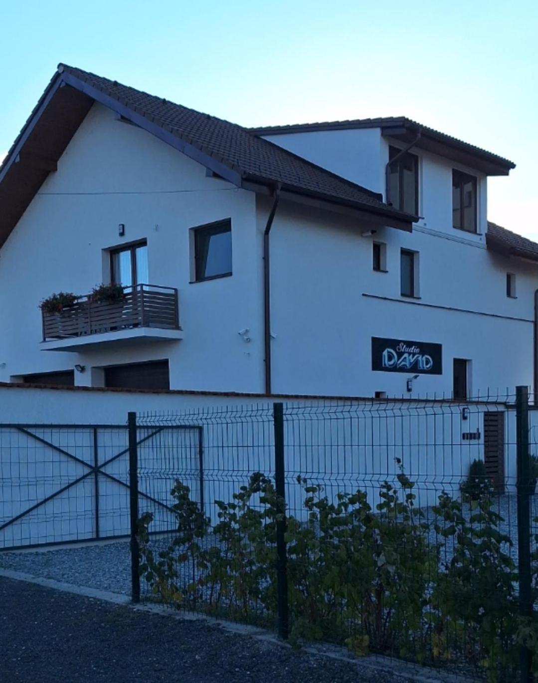 *Studio David* Sibiu Bagian luar foto
